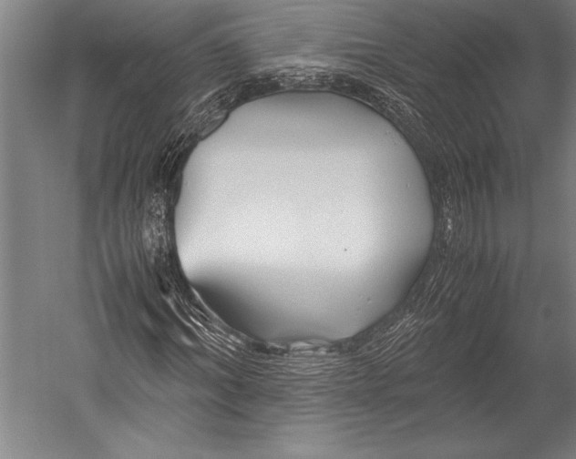 X0000052560964200507221431