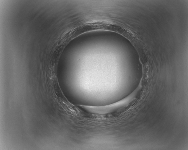 X0000052560965200507221431