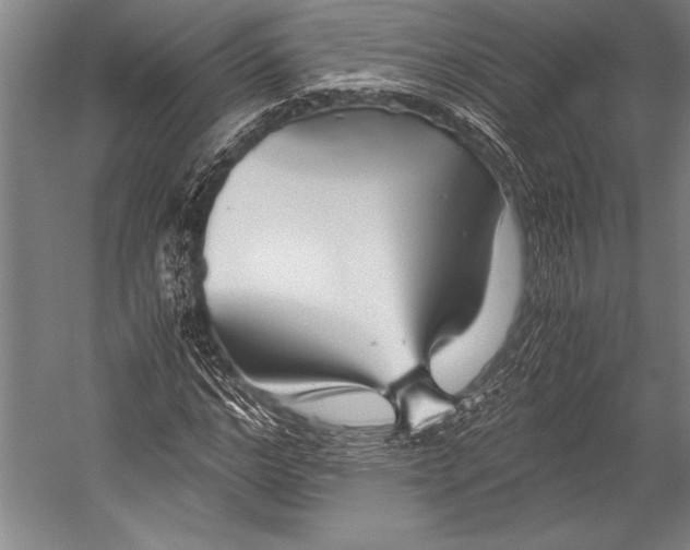 X0000052560968200507221431