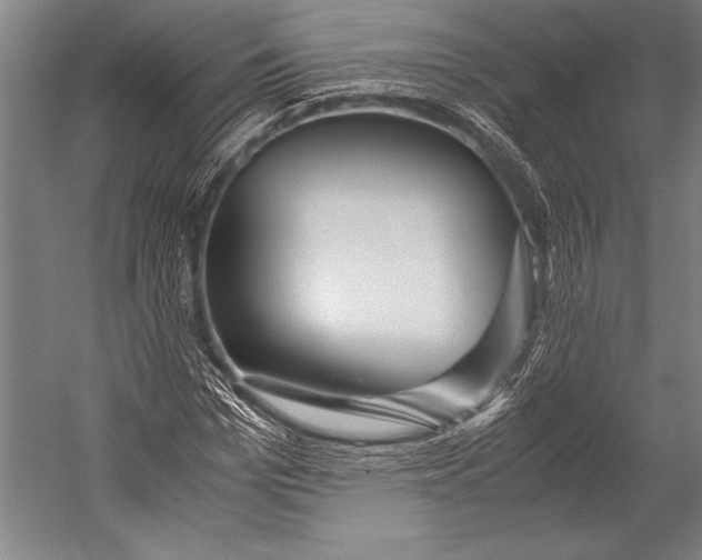 X0000052560969200507221431