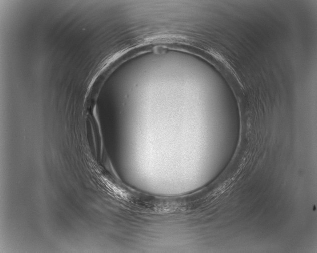 X0000052560973200507221431
