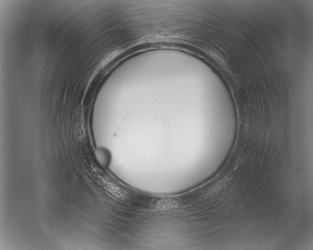 X0000052560974200507221431