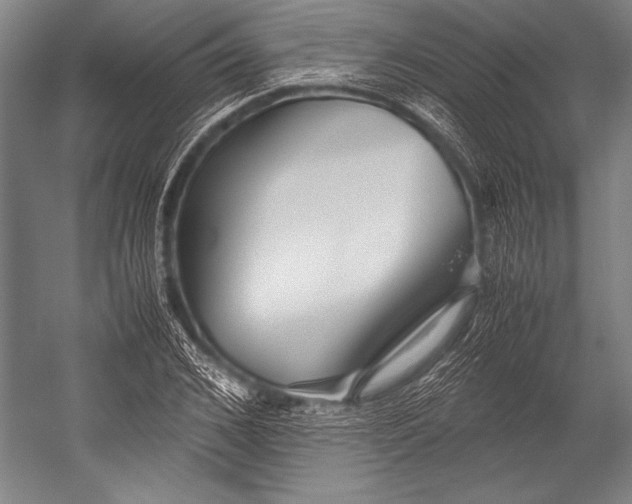 X0000052560976200507221431