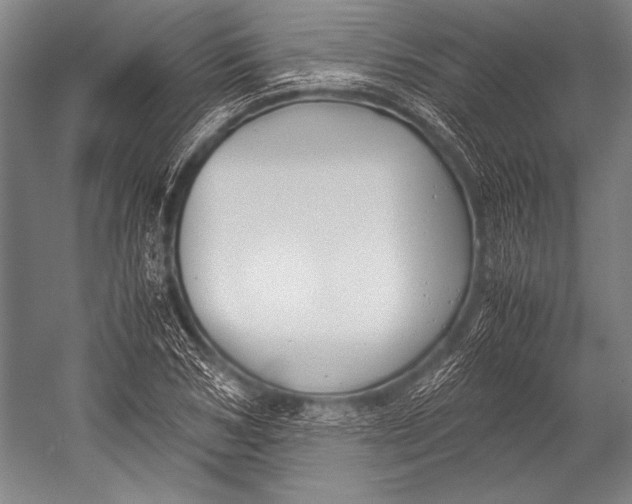 X0000052560978200507221431