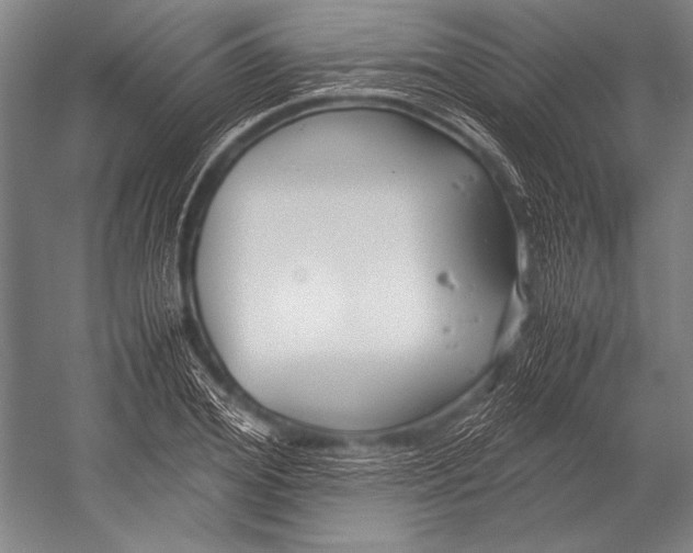 X0000052560980200507221431