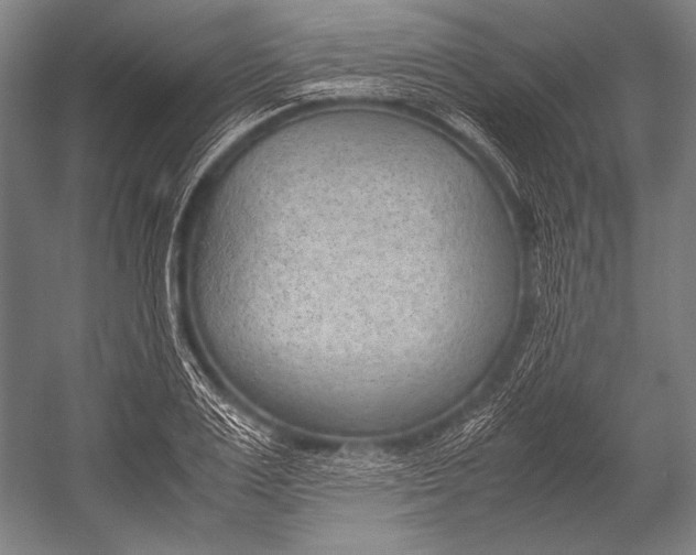 X0000052560983200507221431