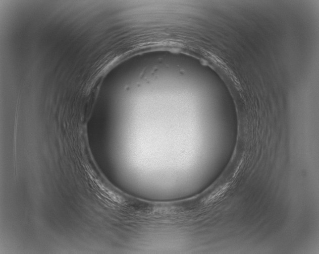 X0000052560985200507221431