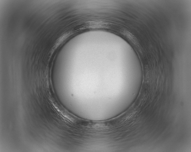X0000052560986200507221431
