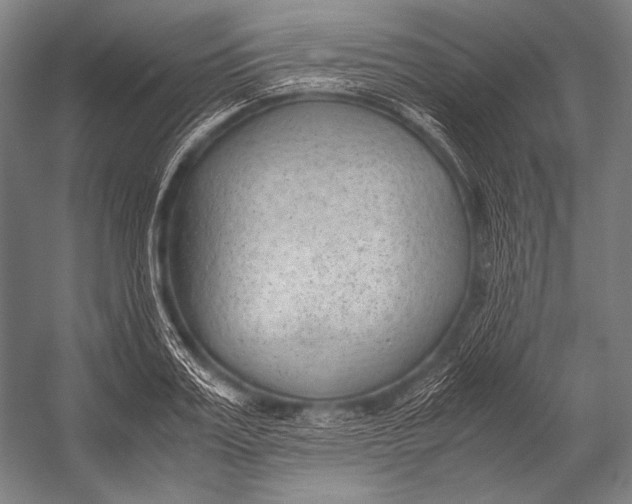 X0000052560987200507221431