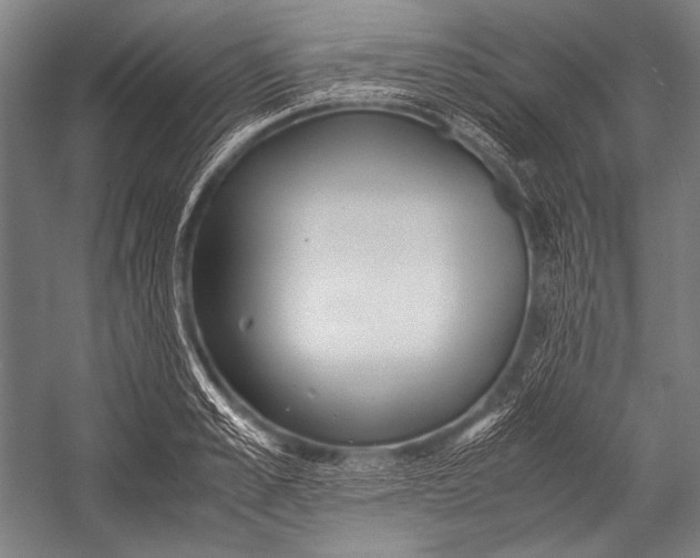 X0000052560989200507221431