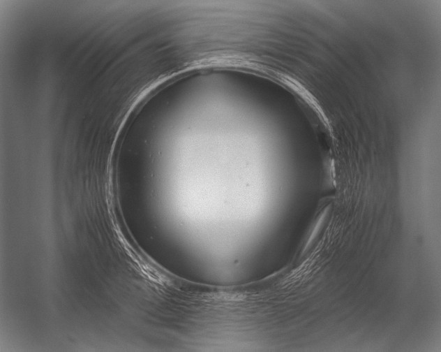 X0000052560996200507221431