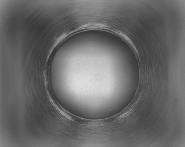 X0000052560997200507221431