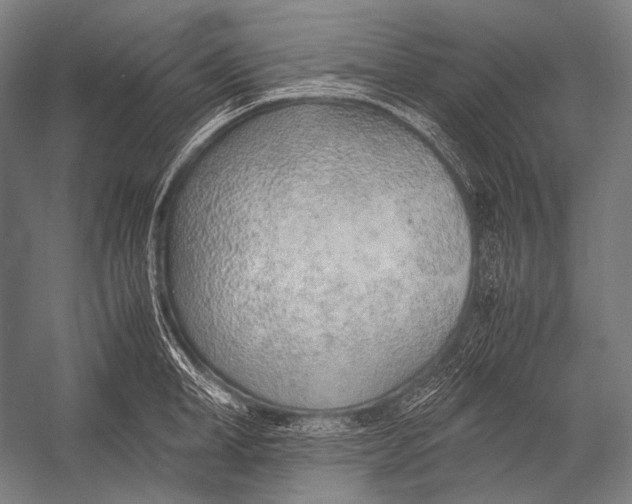 X0000052560998200507221431