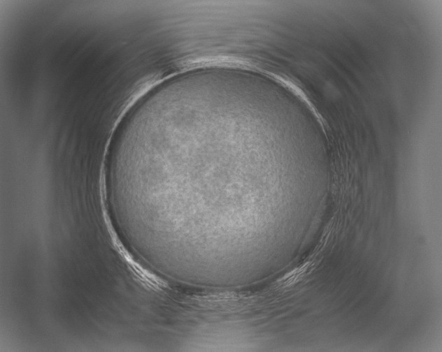 X0000052560999200507221431