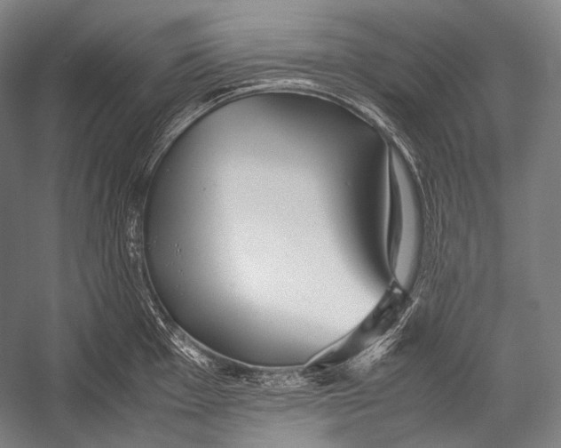 X0000052561001200507221431