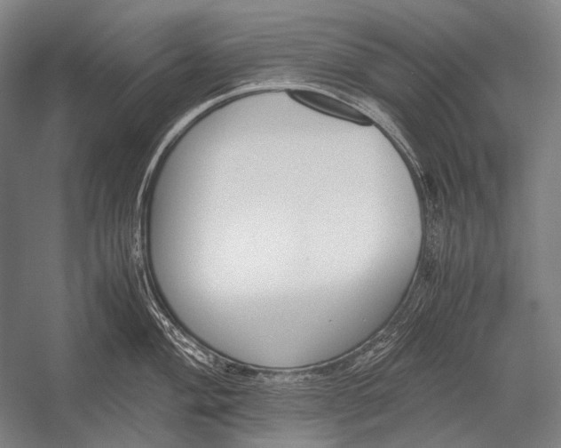 X0000052561004200507221431