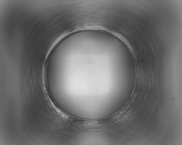 X0000052561006200507221431