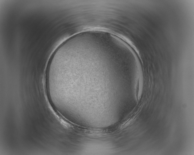 X0000052561007200507221431