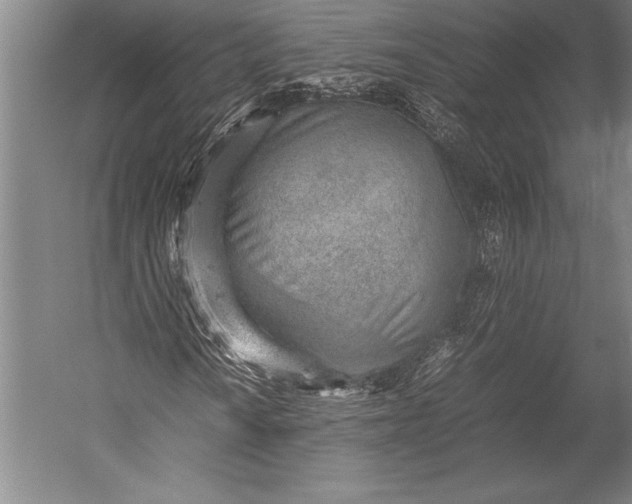 X0000052561010200507221430