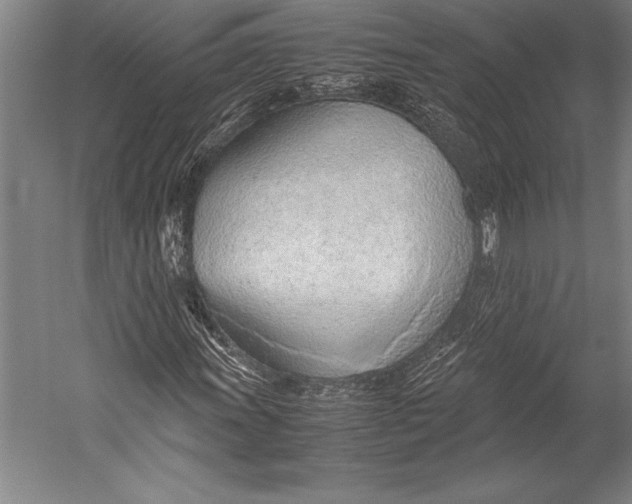 X0000052561011200507221430