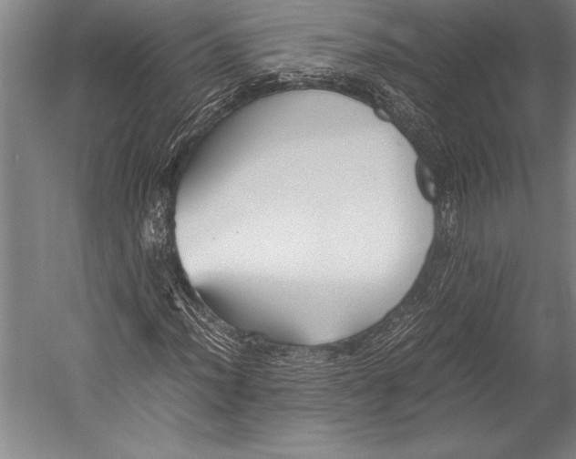 X0000052561012200507221430