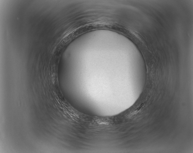 X0000052561015200507221430