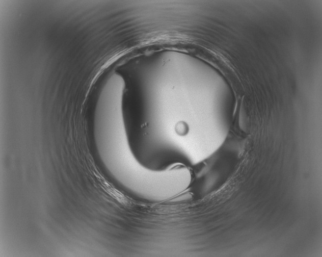 X0000052561018200507221430