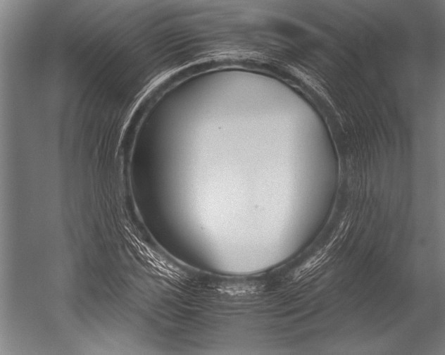 X0000052561021200507221430