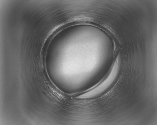 X0000052561022200507221430