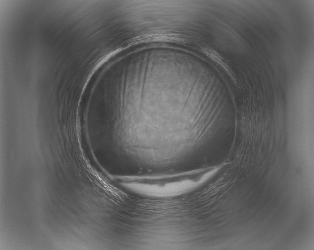 X0000052561024200507221430