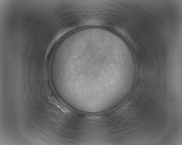 X0000052561027200507221430
