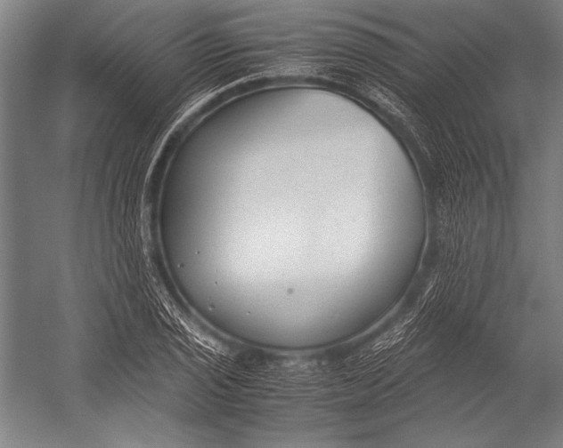 X0000052561029200507221430