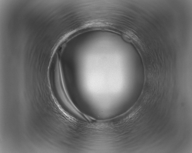 X0000052561030200507221430