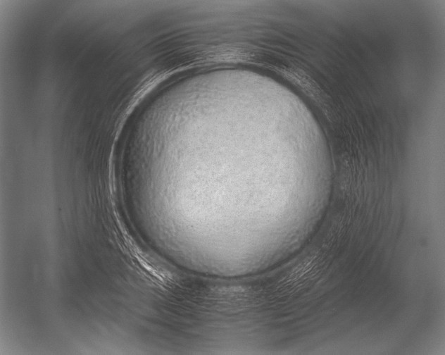 X0000052561031200507221430