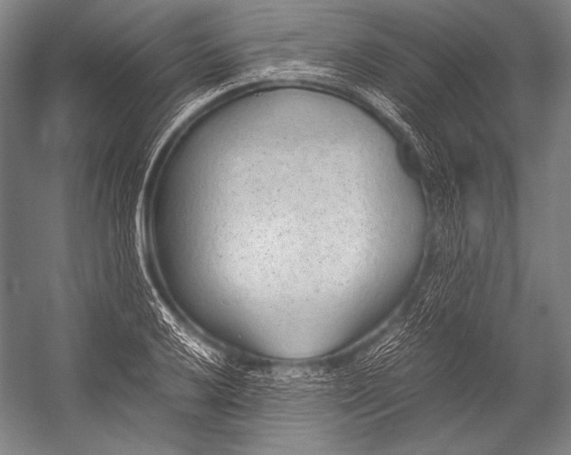 X0000052561032200507221430