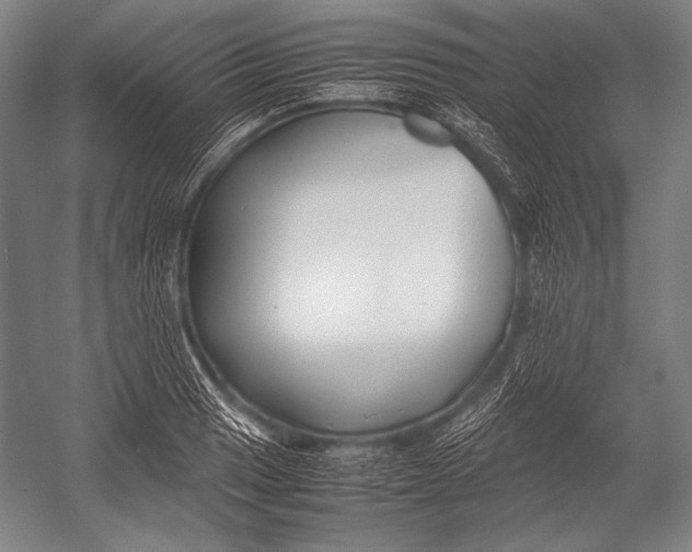 X0000052561033200507221430