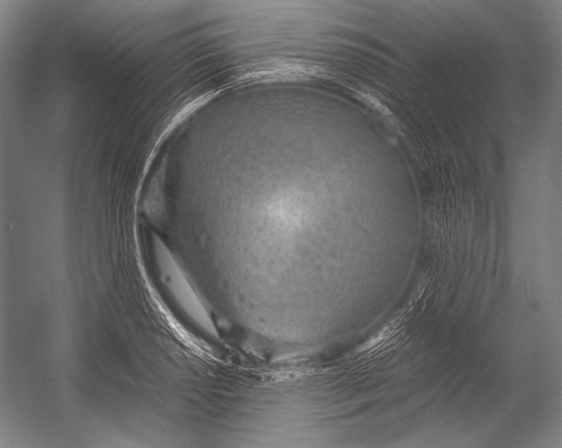 X0000052561034200507221430