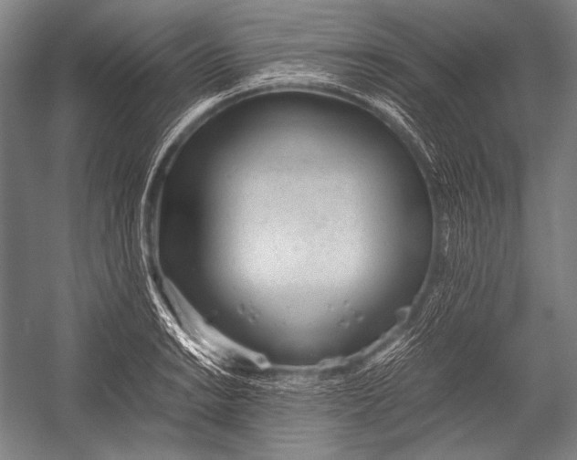 X0000052561038200507221430