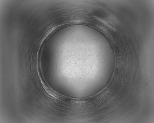 X0000052561039200507221430