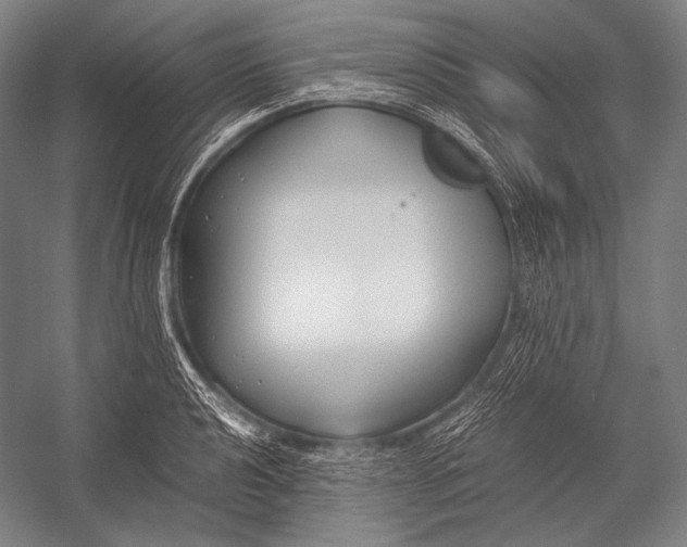 X0000052561040200507221430