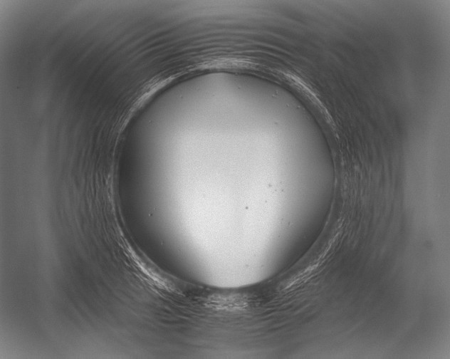 X0000052561041200507221430