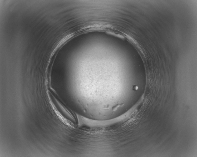 X0000052561042200507221430