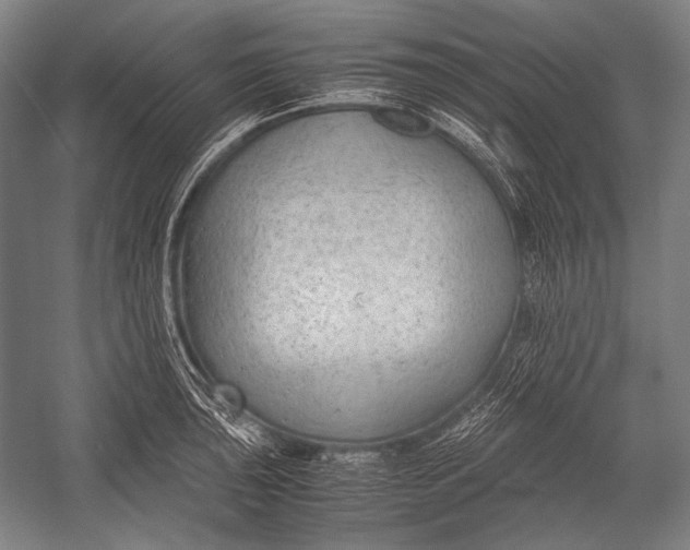 X0000052561043200507221430