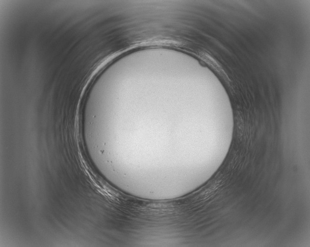 X0000052561044200507221430