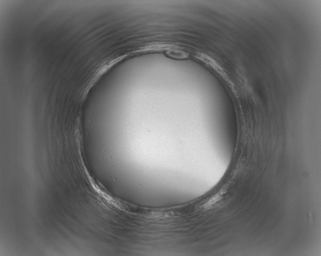 X0000052561049200507221431