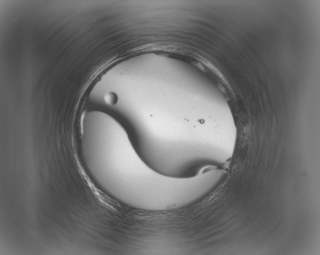 X0000052561050200507221431