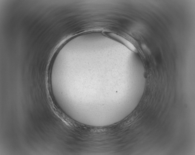 X0000052561051200507221431