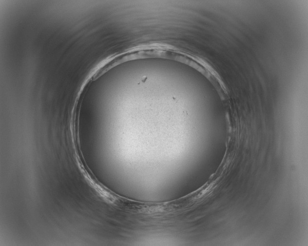 X0000052561054200507221431