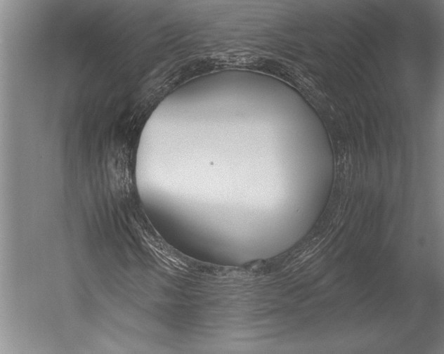 X0000052561058200507221430