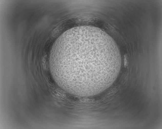 X0000052561059200507221430